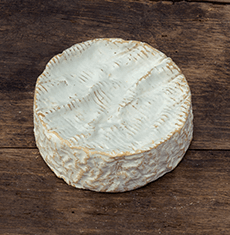 Camembert