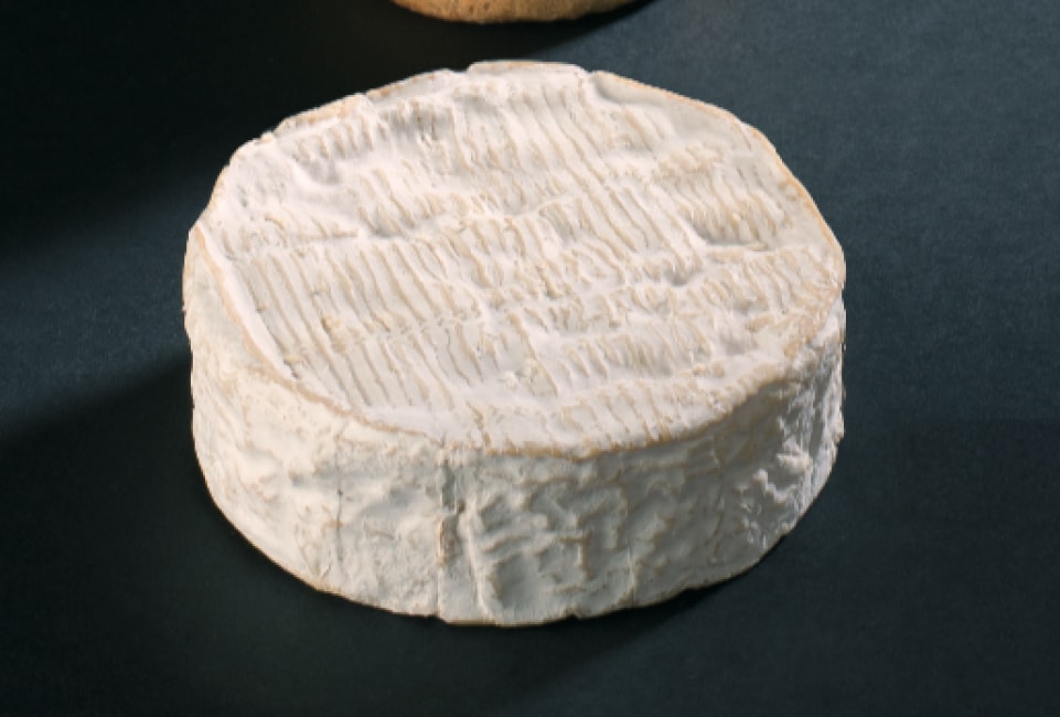 Camembert AOP