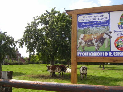 Ferme de la croix blanche