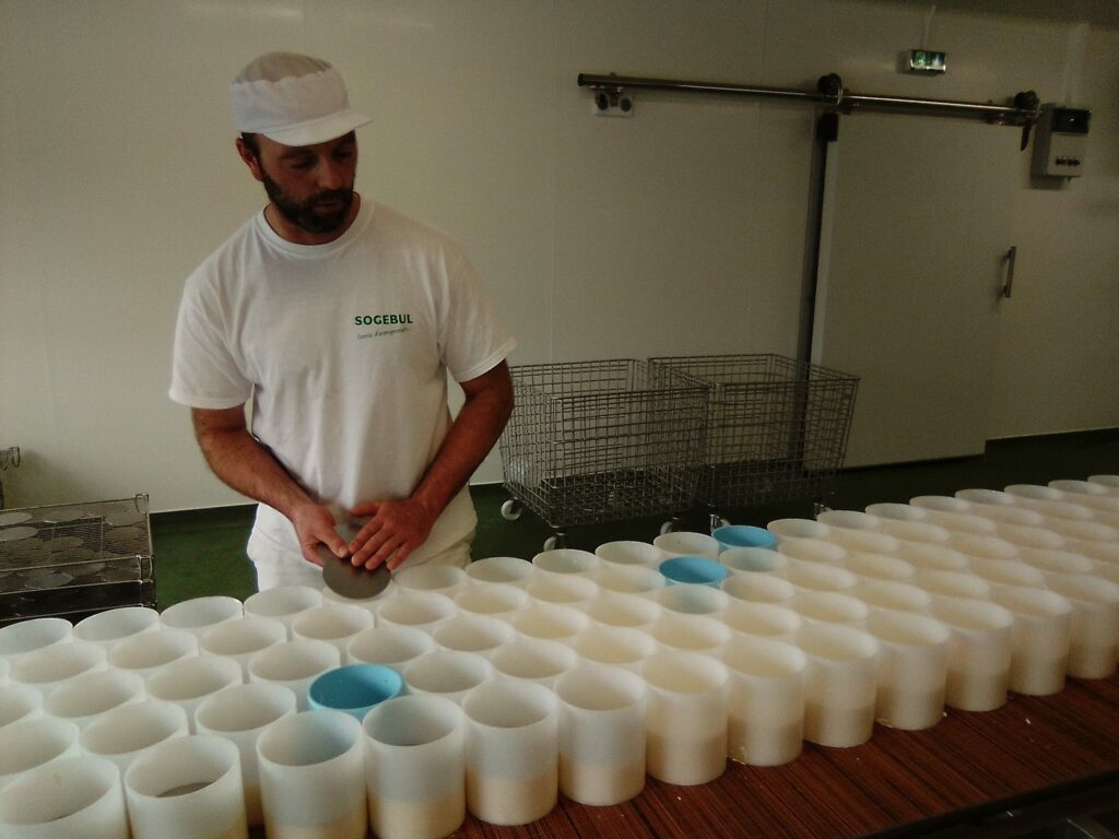 Fabrication du Camembert de Normandie au GAEC Cahorel