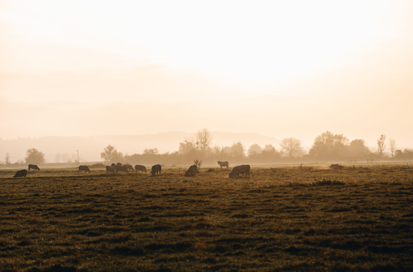 Weekend route des fromages- Hello Travelers